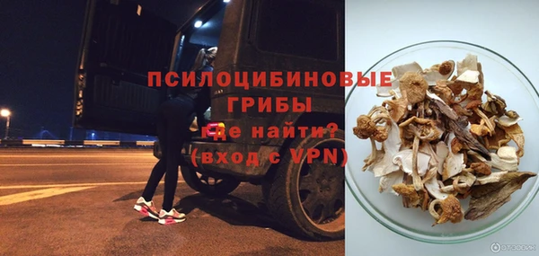 ГАЛЛЮЦИНОГЕННЫЕ ГРИБЫ Покров